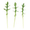 NEREID RZ  product photo front S