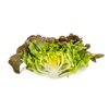 CALIBAI RZ  product photo view-3 S