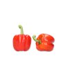 35-BR2069 RZ F1 product photo view-2 S
