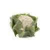 CASSARD RZ F1 product photo view-2 S