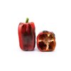 ESCOTA RZ product photo view-2 S