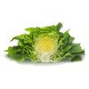 FAUSTINA RZ (43-38) product photo view-2 S