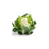 WHITAKER RZ F1 (26-RW705) product photo front S