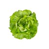 BASILIO RZ product photo view-2 S