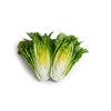 CAICEDO RZ (41-CO2151) Knox™ product photo view-3 S