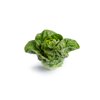 MUROS RZ product photo front S