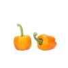 35-BO2034 RZ F1 product photo view-2 S