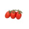 72-PL0501 Tulemalu product photo front S