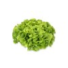 KIDOW RZ (83-104) product photo view-2 S