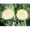 MANESSA RZ F1 product photo view-3 S