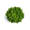 TIKODAL RZ product photo front S