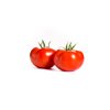 ريشكا آر- زد  product photo view-2 S