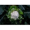 PONTBLANC RZ F1  product photo view-2 S