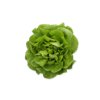 WALWIN RZ (42-BU1364) product photo front S