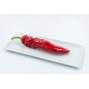 PALERMO RADIUS RZ F1 product photo view-3 S