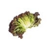 BARTAL RZ  product photo view-2 S
