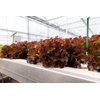 SUPRADAI RZ (82-OA3465) Knox™ product photo view-3 S