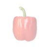 NESBITT RZ F1 (35-189) product photo front S