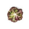 SAMANTINE RZ product photo view-3 S