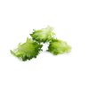 CRYSTIQUE (44-CL1573) Knox™ product photo view-3 S