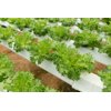 Експедішн RZ Salanova® product photo view-4 S