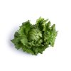 CASONAS RZ product photo view-3 S