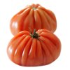 RUGANTINO RZ F1 product photo front S