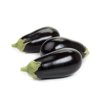 TRACEY RZ F1  product photo view-3 S