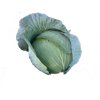 MANOUK F1 (30-WC796) product photo front S