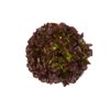 PRUNAÏ RZ product photo front S