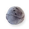 RESIMA RZ F1 product photo view-3 S