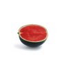 GANIMEDES RZ F1  product photo view-2 S