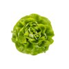 GAMBETTA RZ product photo front S