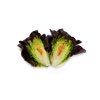 CARDAINE RZ  product photo view-4 S