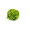 OLMETIE RZ product photo view-2 S