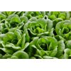 BERNOULLI RZ product photo view-3 S