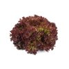 TIGAGON RZ (79-IN5688) Knox™ product photo front S