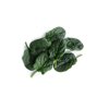 STOAT RZ product photo view-3 S