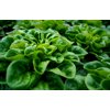 GIBBARD RZ (79-ML1112) product photo view-4 S