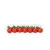 PROVENTURA RZ F1 (72-CH0363) product photo view-3 S