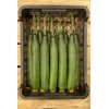 FORAMI RZ F1 product photo view-2 S