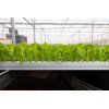 CRYSTIQUE RZ (44-CL1573) Knox™ product photo view-5 S