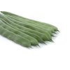 FOLINDA RZ (17-FD1063) product photo front S