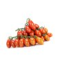 CALDINO F1 (72-161) product photo view-3 S