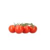 CURZIO RZ F1 product photo view-2 S
