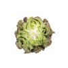 CALIBAI RZ  product photo view-2 S