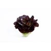 COCONINO RZ  product photo view-3 S
