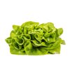 GALLOWAY RZ product photo view-2 S