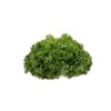 HYDROLIQUE RZ product photo view-3 S