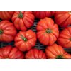ARALDINO RZ F1 product photo view-2 S